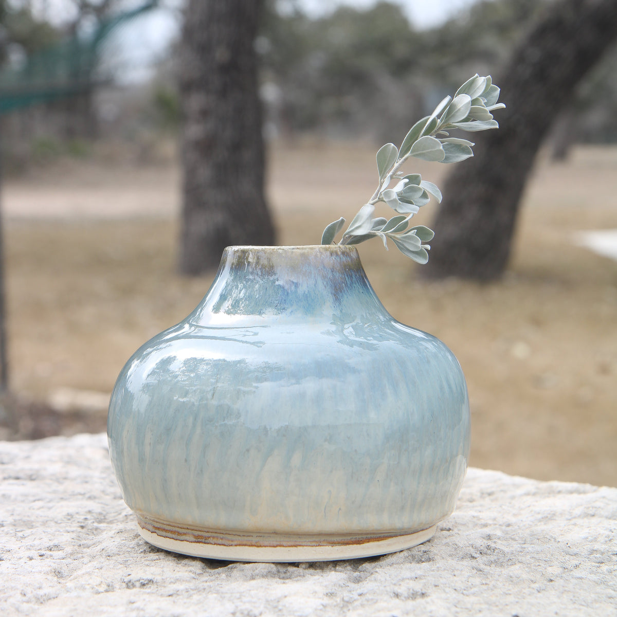 Bellied Ceramic Vase