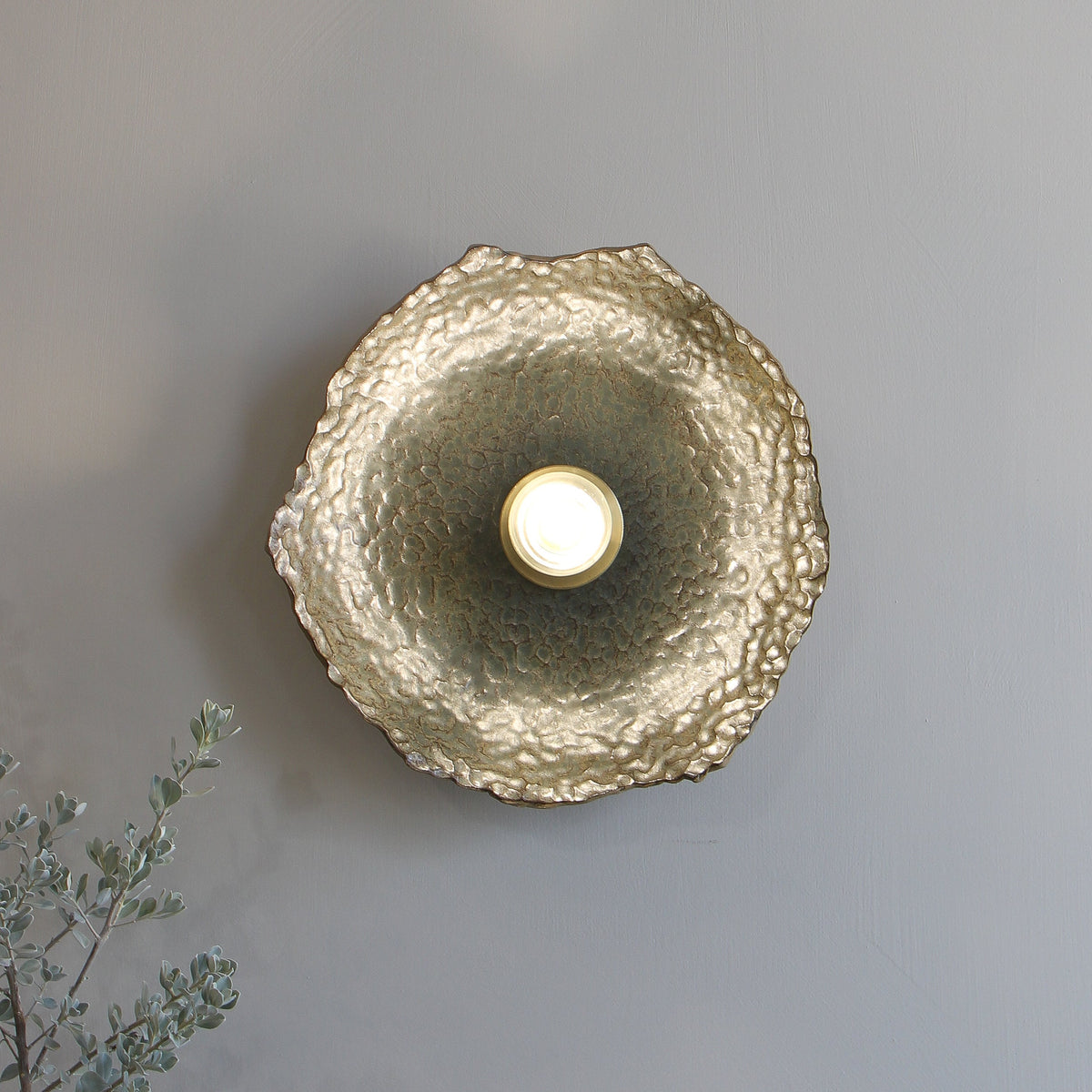 Caddo Sconce/Ceiling Fixture