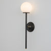 Odessa Wall Sconce